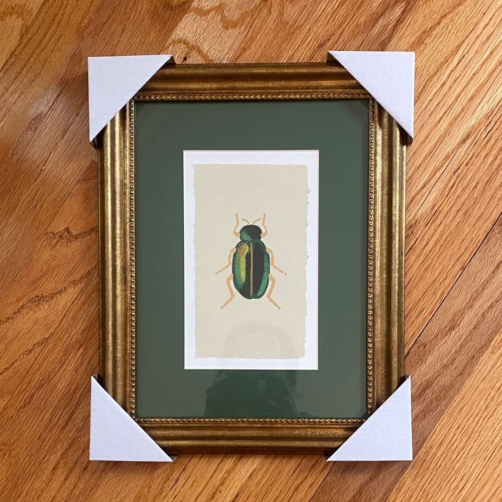 NWT Rifle Paper insect print